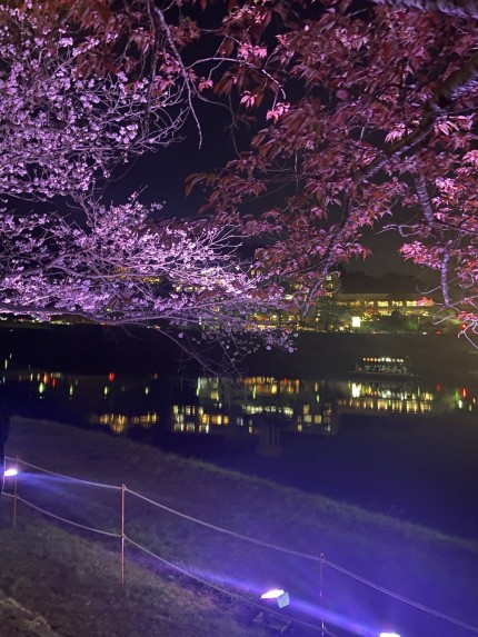 IMG_7734-e1775200045227