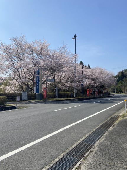 IMG_7736-e1775200057884